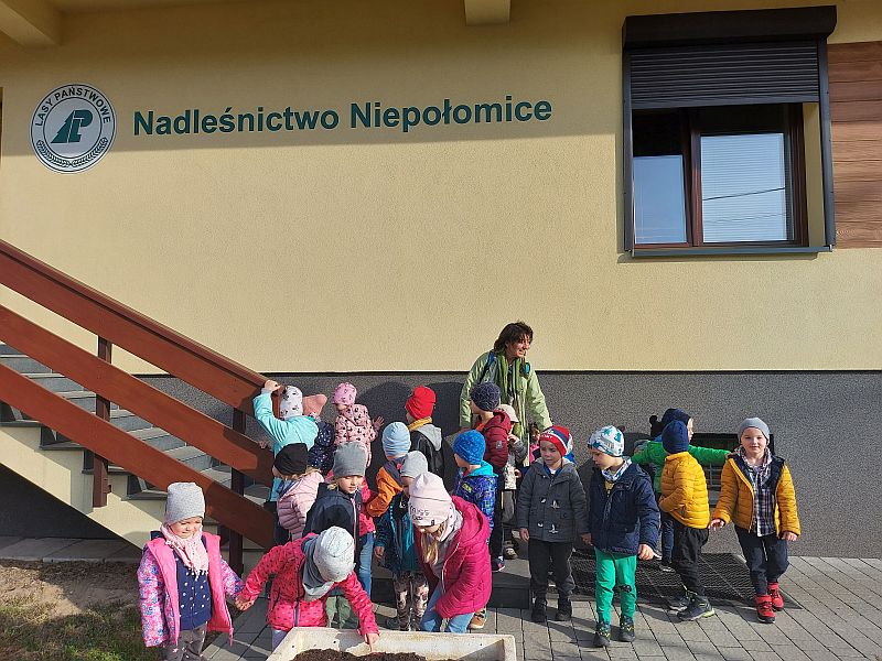 Nadleśnictwo Niepołomice - zdjęcie 2