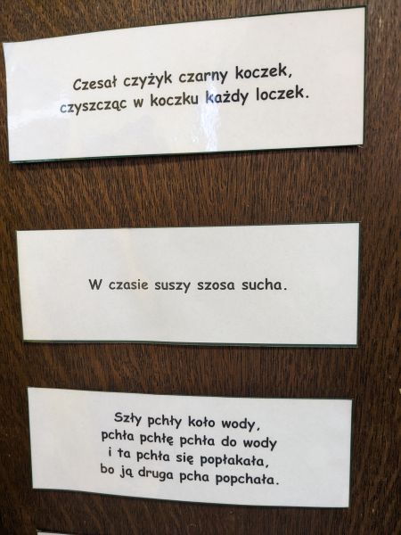 Dzień Języka Ojczystego - zdjęcie 14