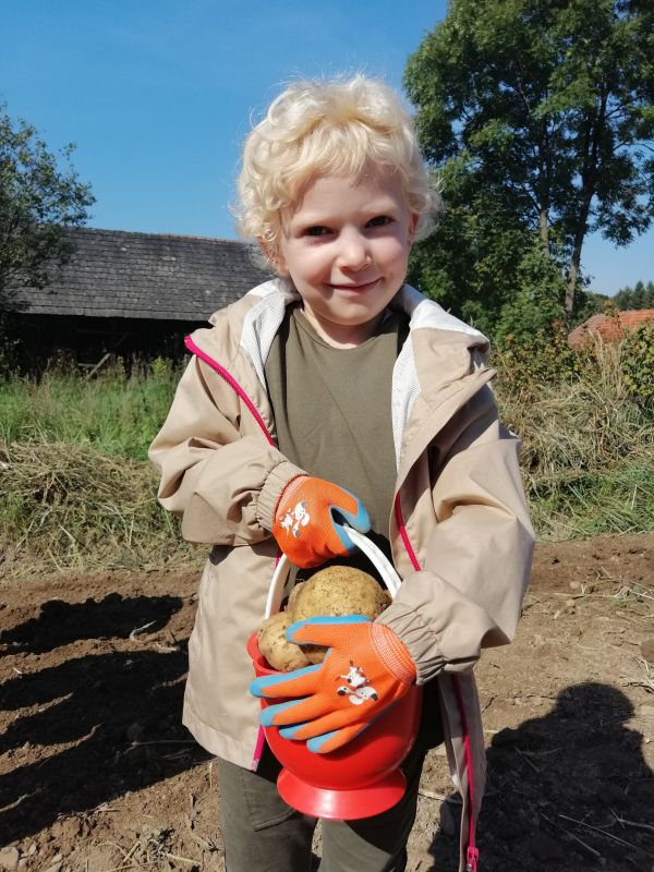 Wykopki 5 latków - zdjęcie 13