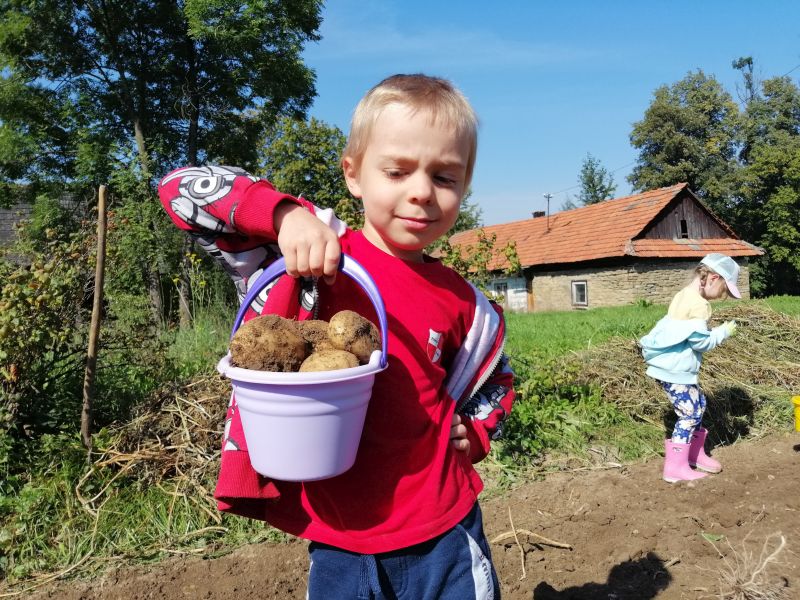 Wykopki 5 latków - zdjęcie 16