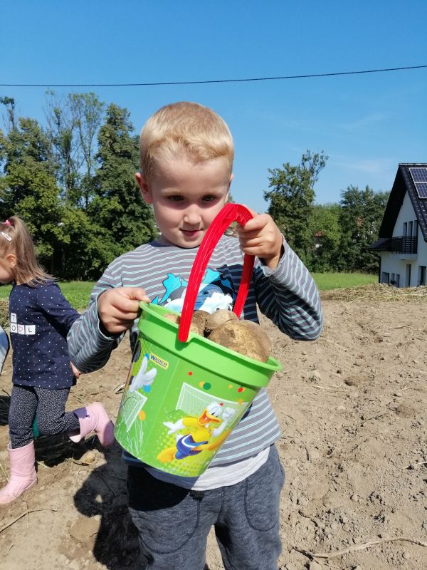 Wykopki 5 latków - zdjęcie 17