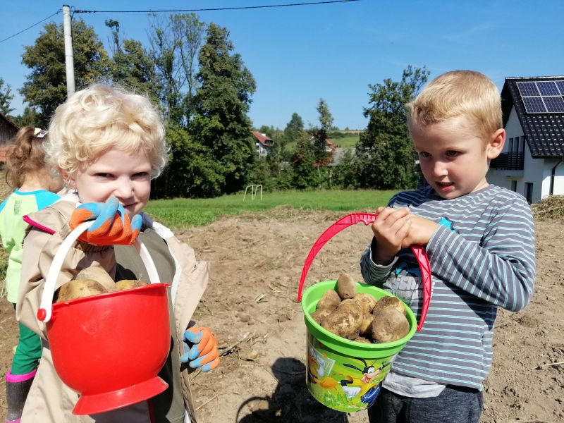 Wykopki 5 latków - zdjęcie 18