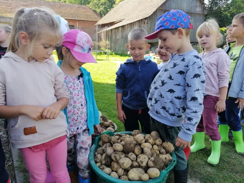 Wykopki 5 latków - zdjęcie 20