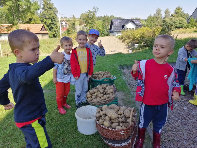 Wykopki 5 latków - zdjęcie 28